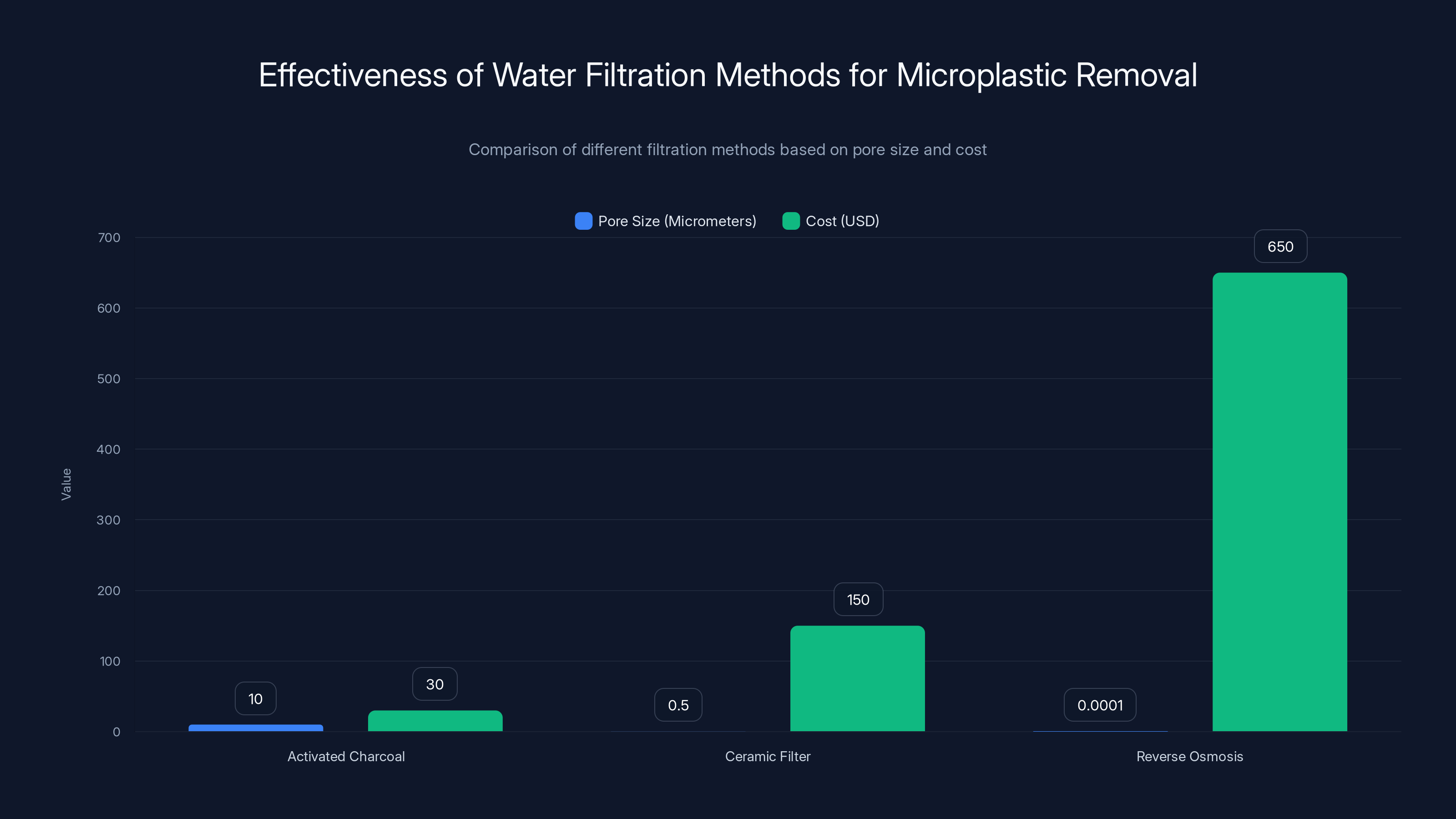 Effectiveness of Water Filtration Methods for Microplastic Removal