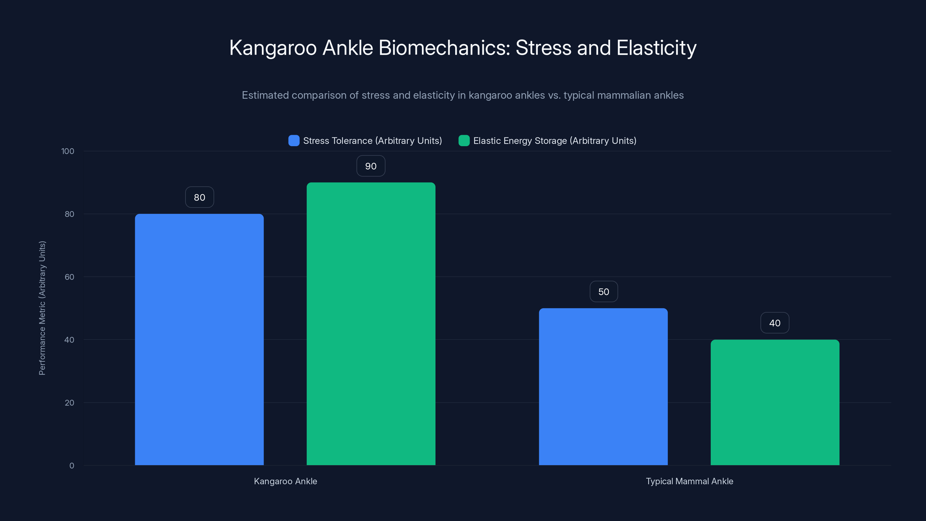 Kangaroo Ankle Biomechanics: Stress and Elasticity