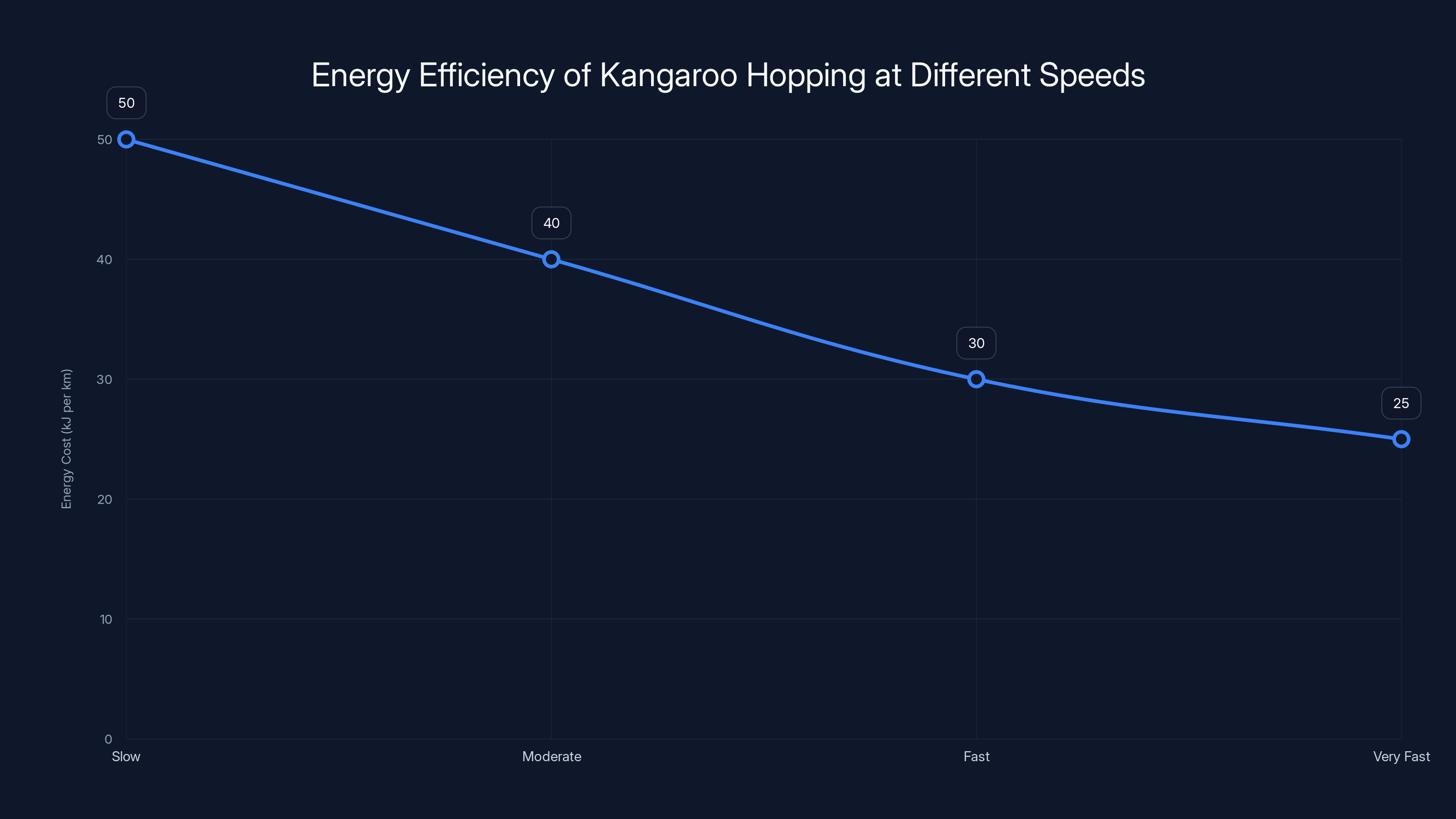 Energy Efficiency of Kangaroo Hopping at Different Speeds