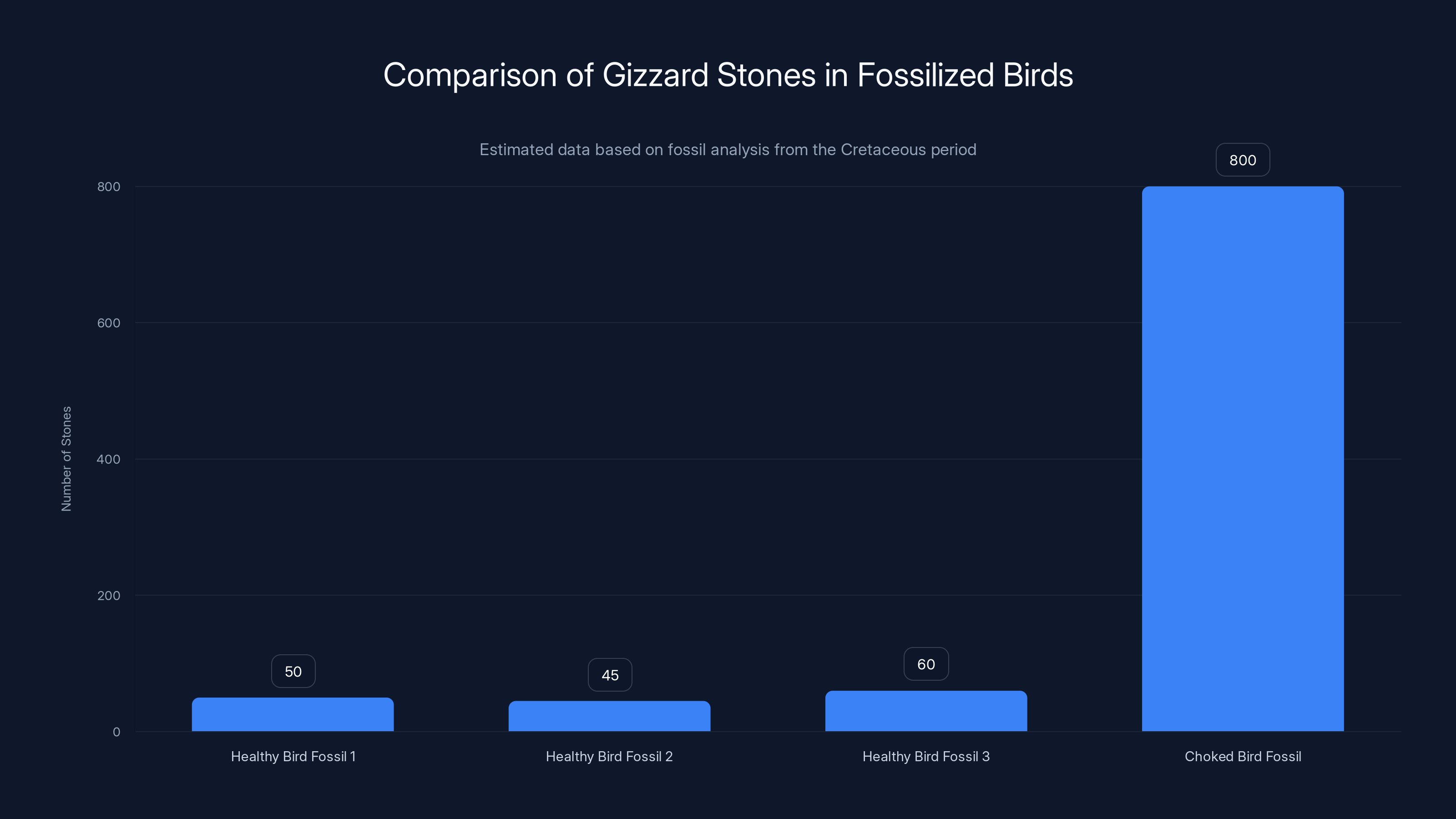 Comparison of Gizzard Stones in Fossilized Birds