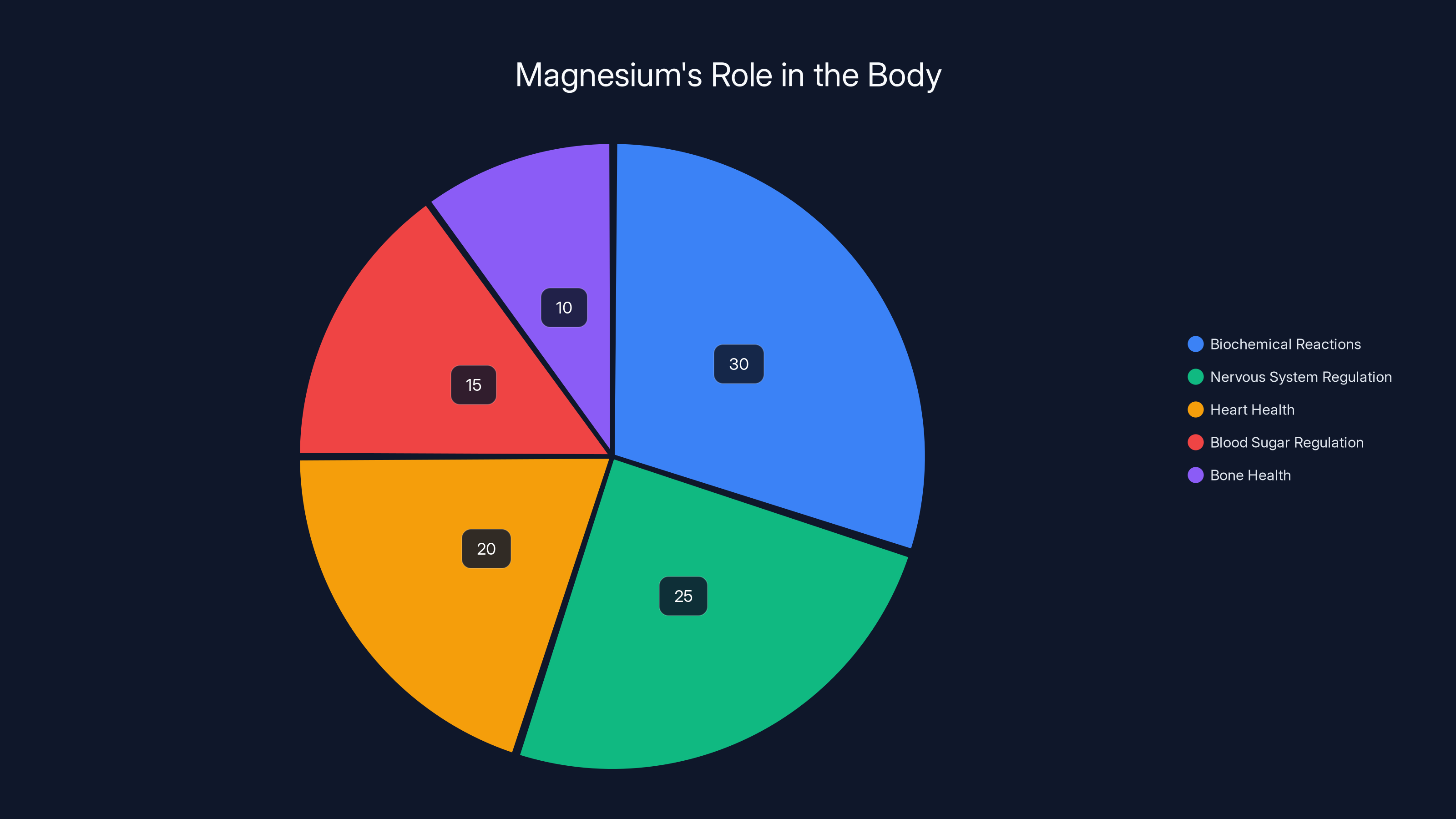 Magnesium's Role in the Body