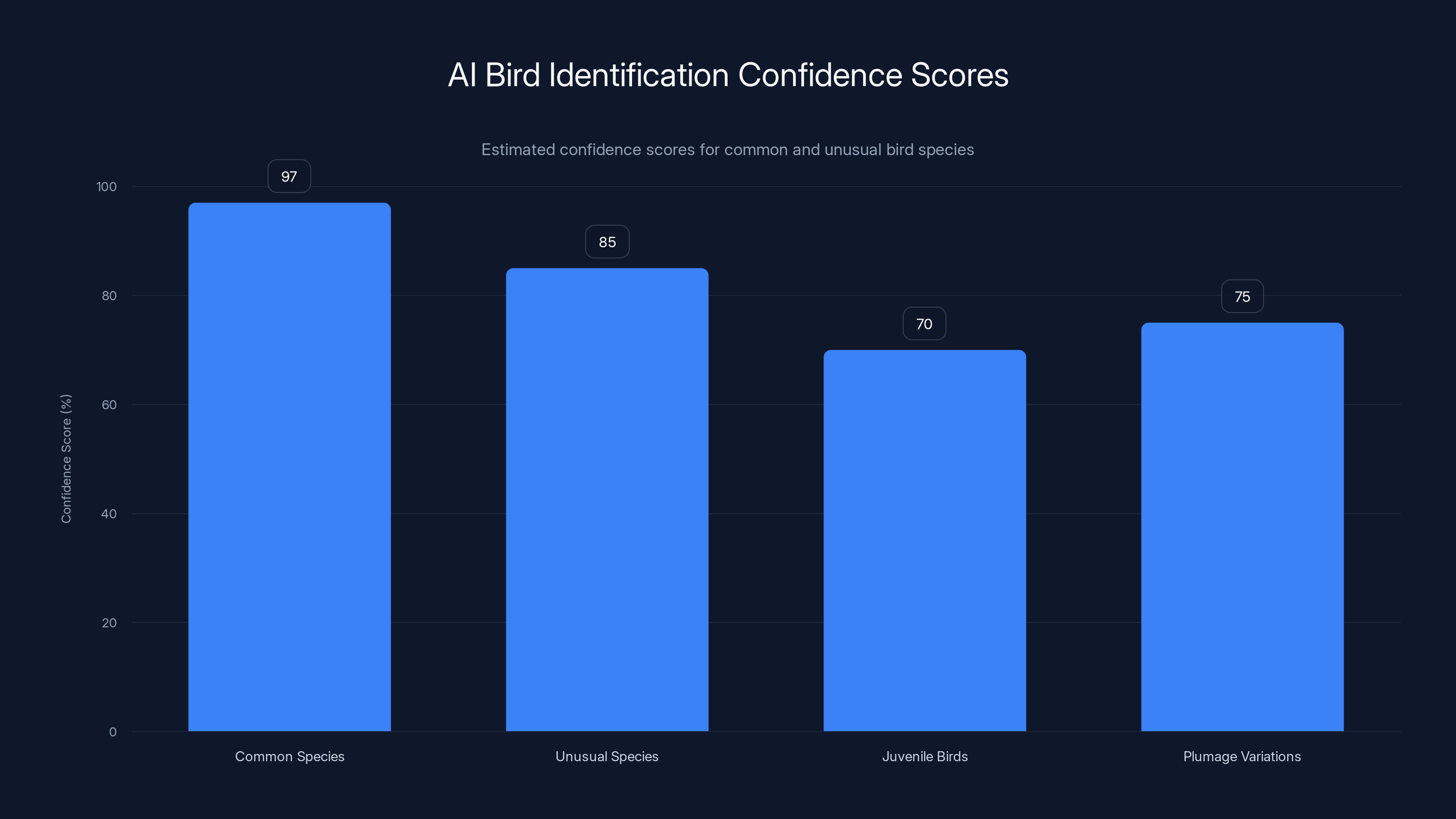 AI Bird Identification Confidence Scores