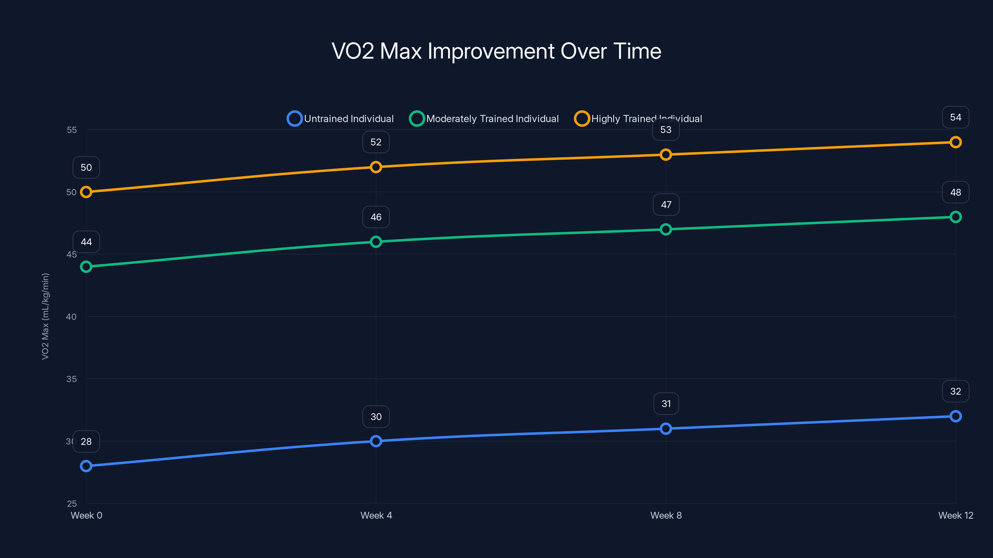 VO2 Max Improvement Over Time