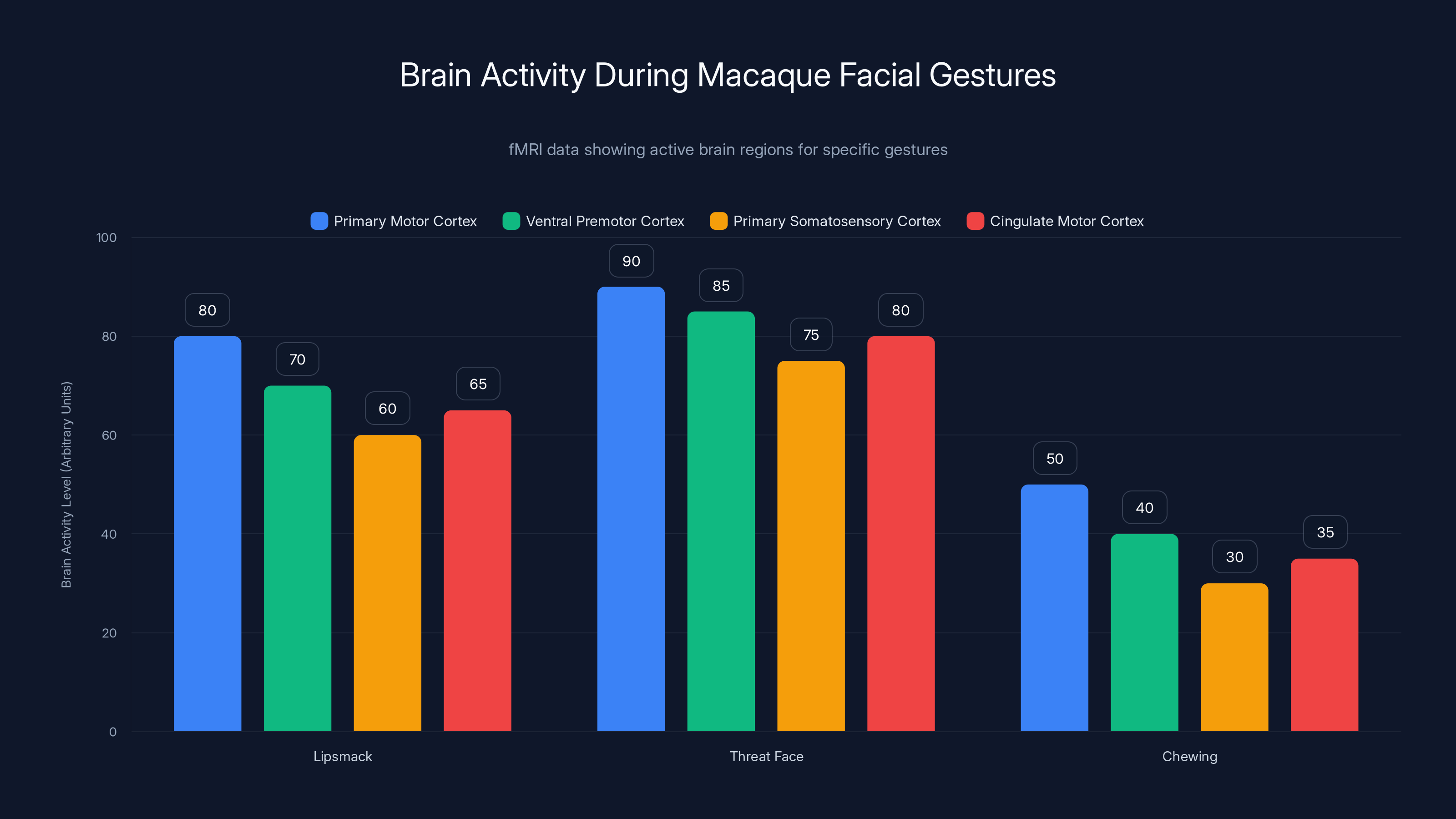 Brain Activity During Macaque Facial Gestures