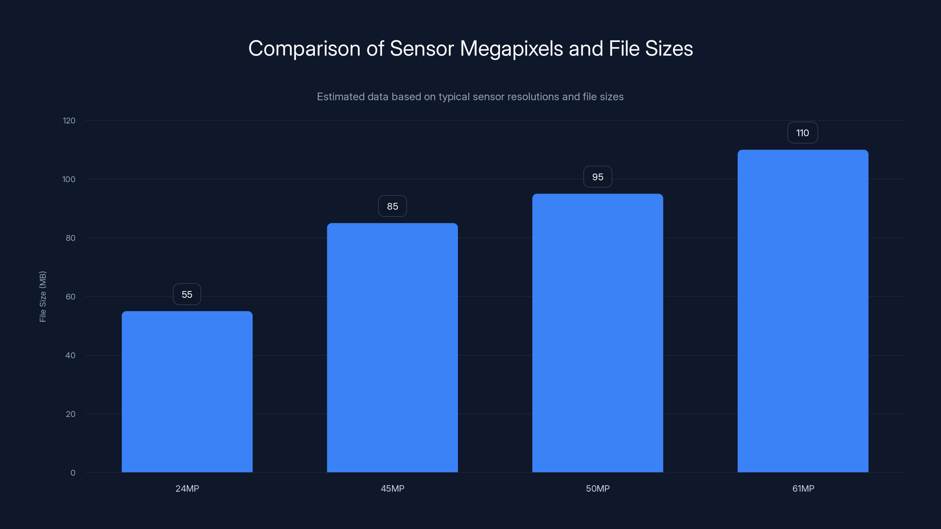 Comparison of Sensor Megapixels and File Sizes
