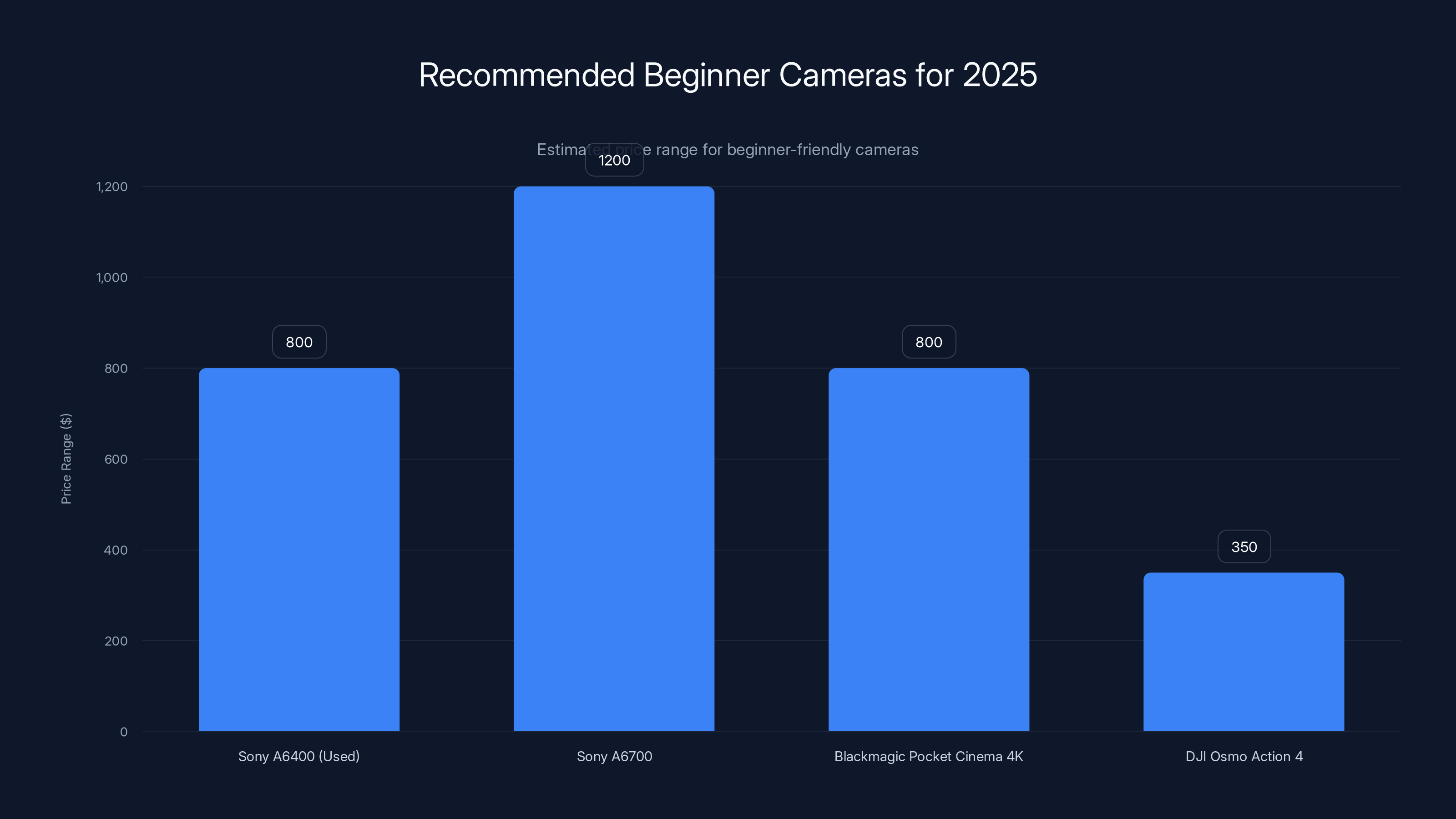 Recommended Beginner Cameras for 2025