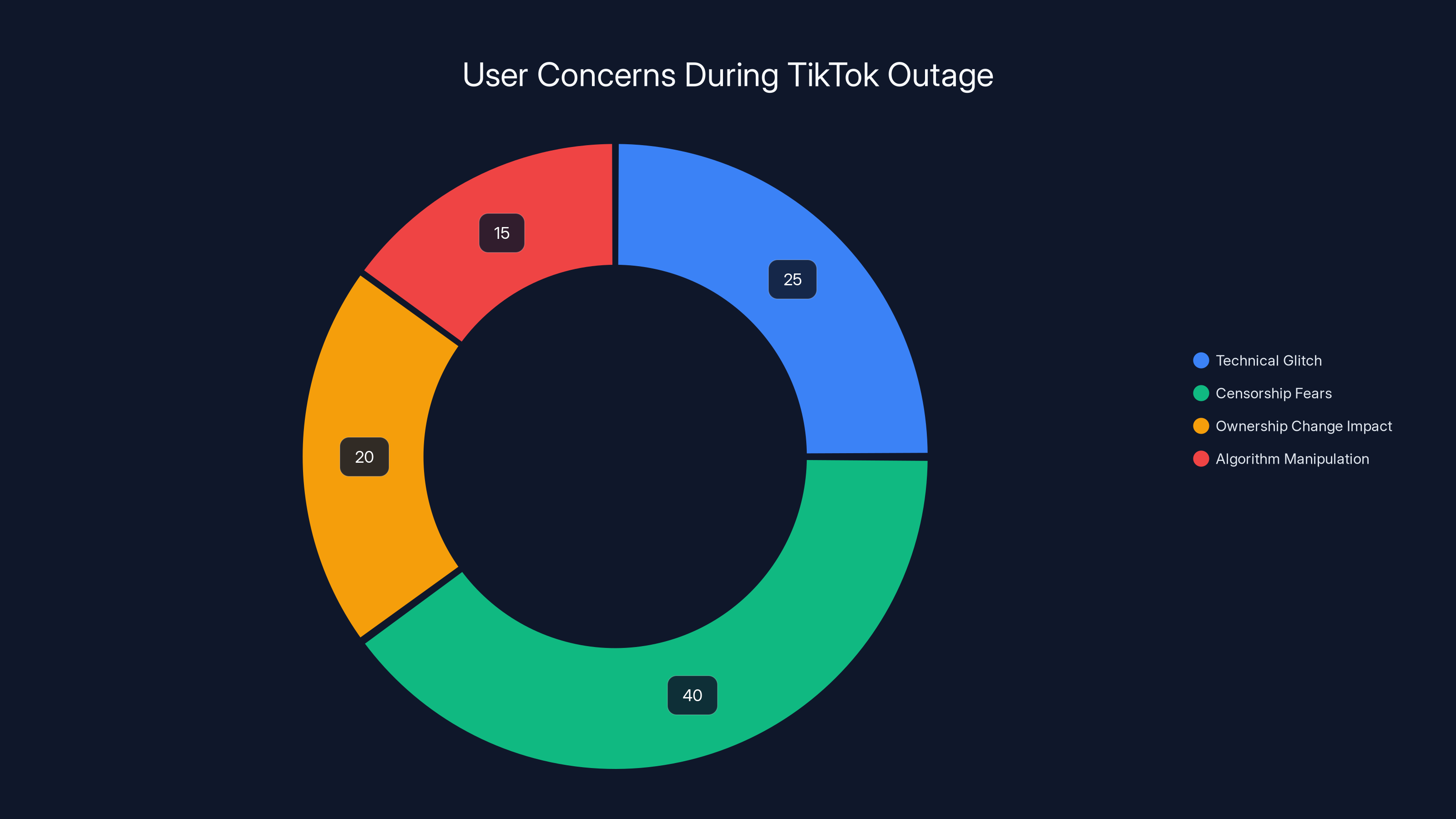 User Concerns During TikTok Outage
