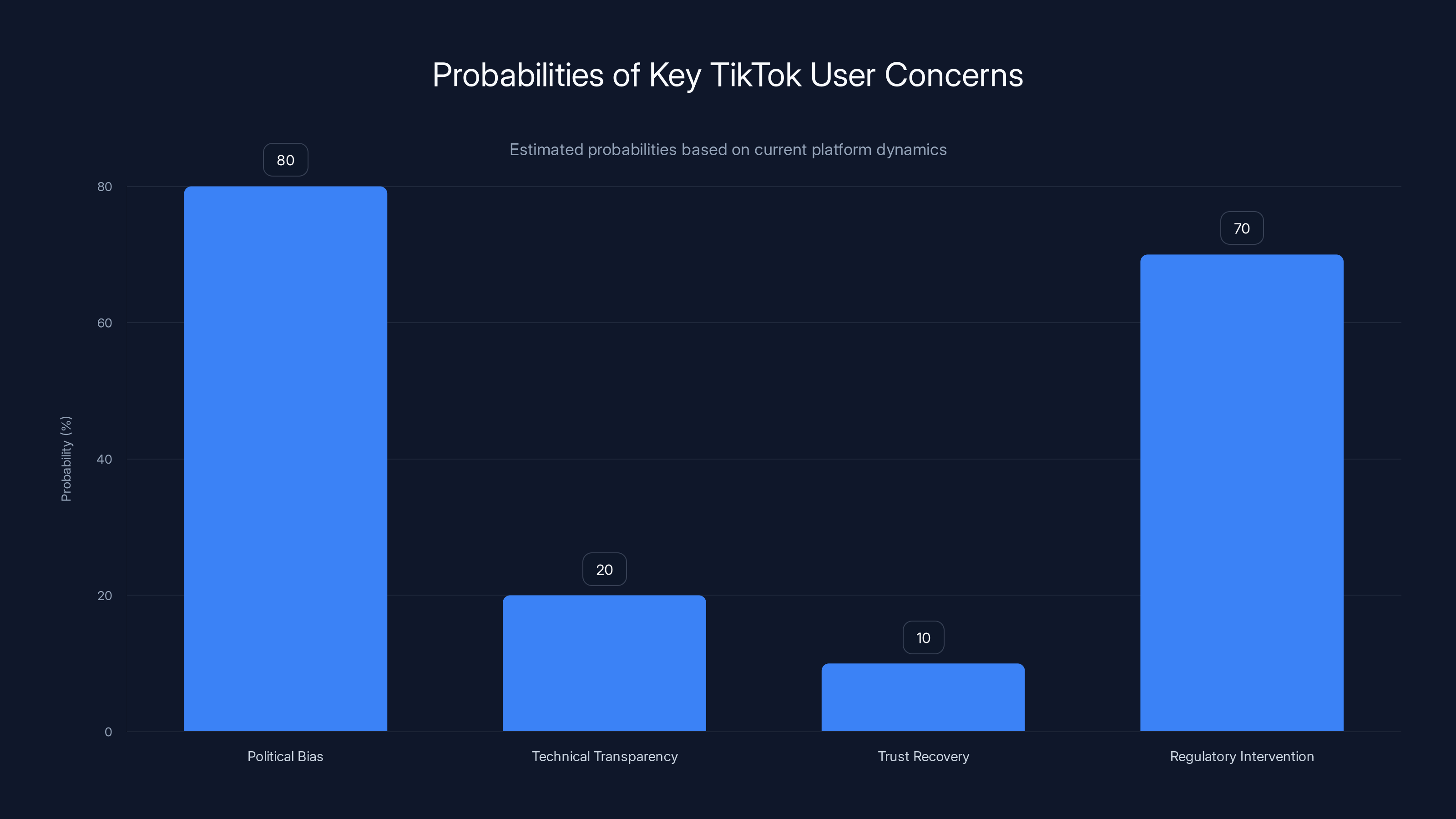 Probabilities of Key TikTok User Concerns