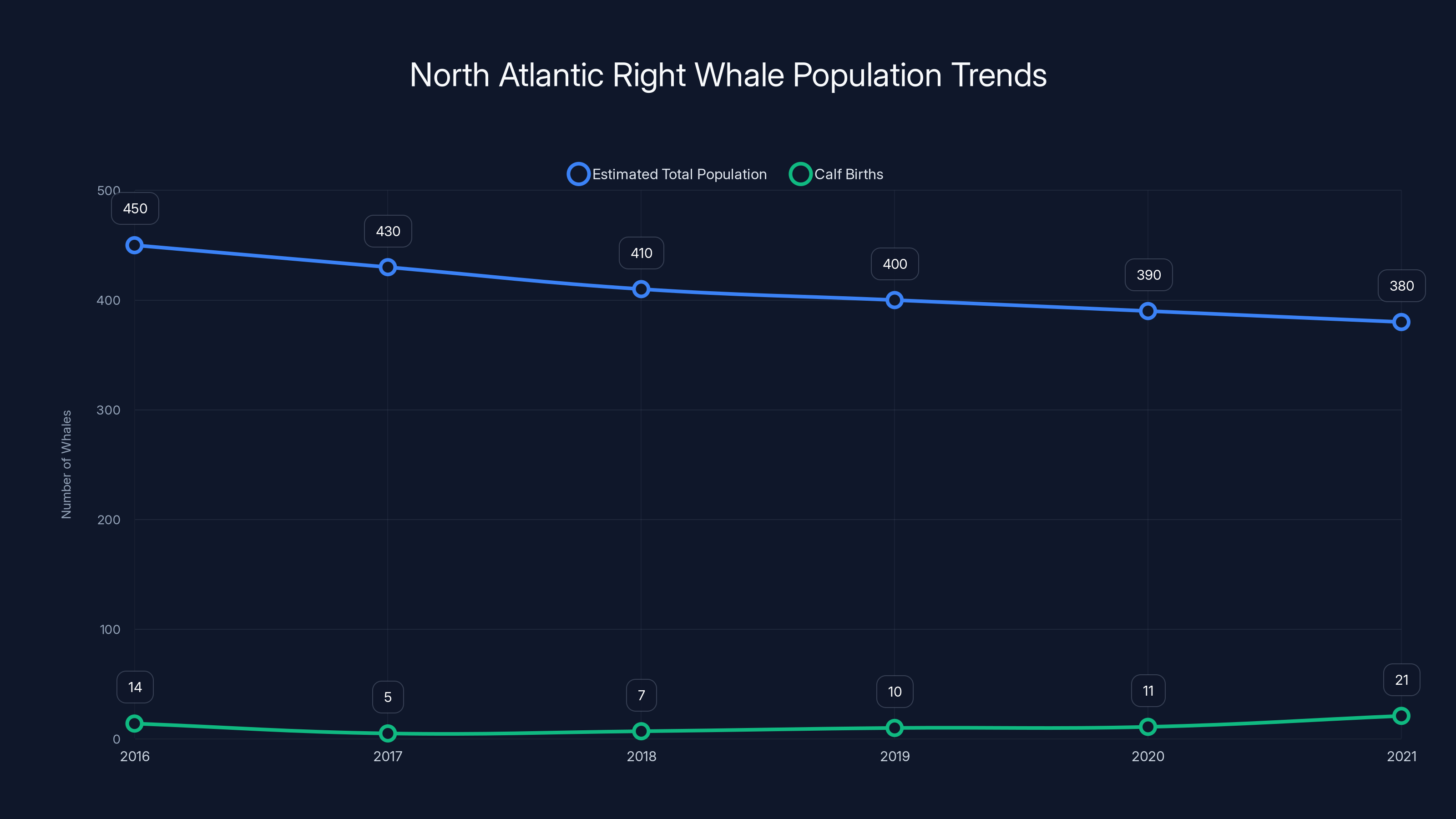 North Atlantic Right Whale Population Trends