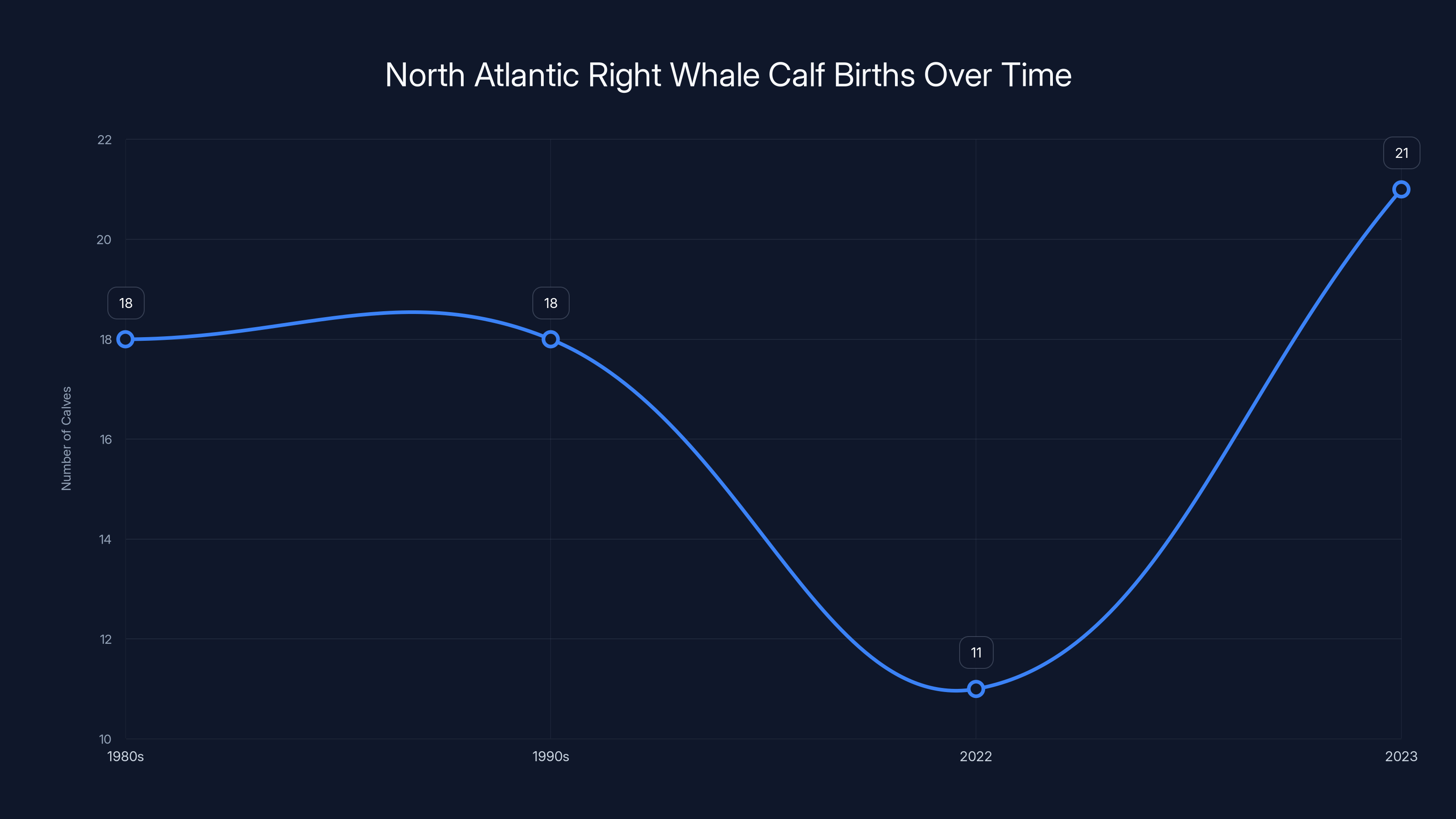 North Atlantic Right Whale Calf Births Over Time