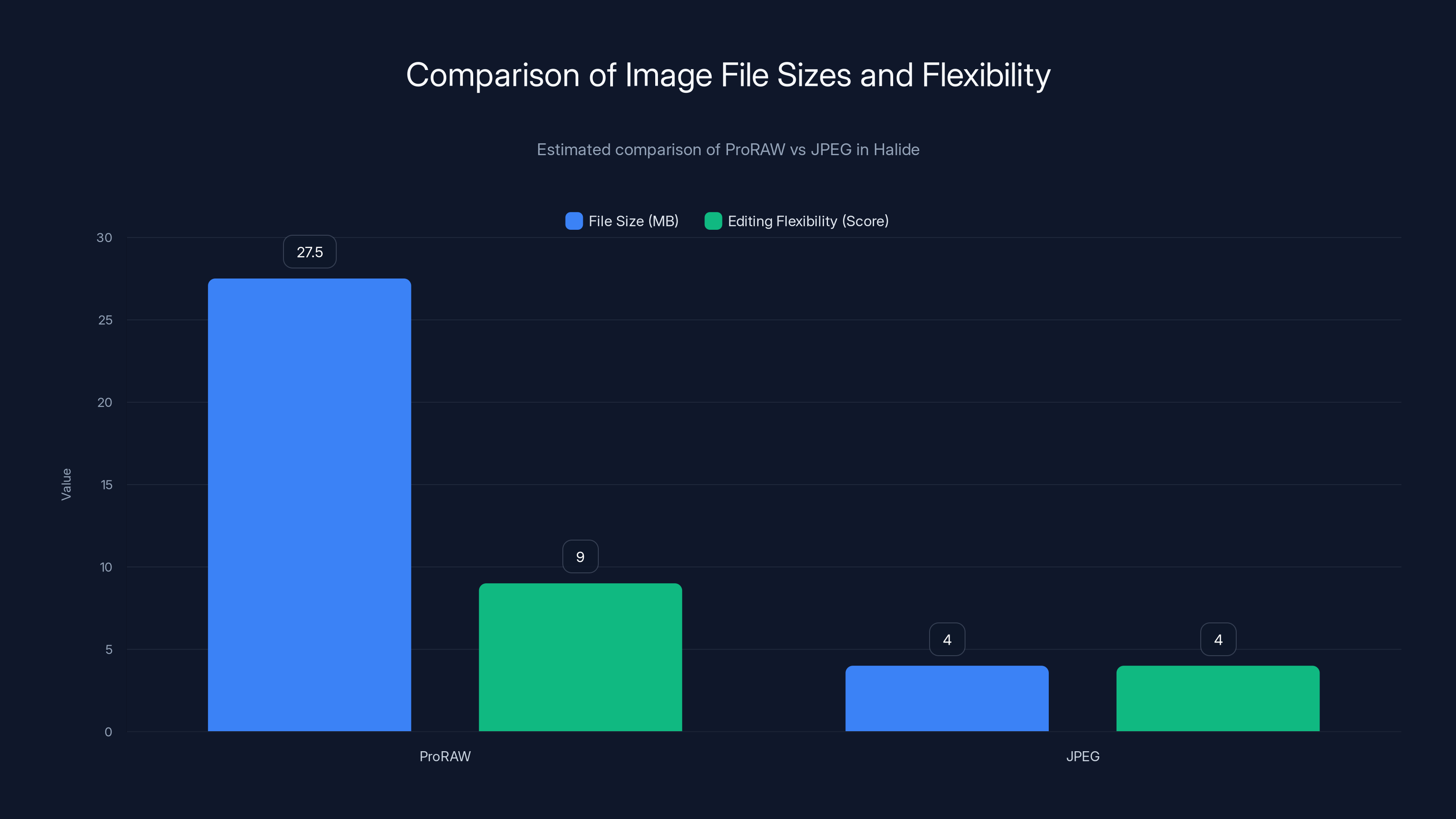 Comparison of Image File Sizes and Flexibility