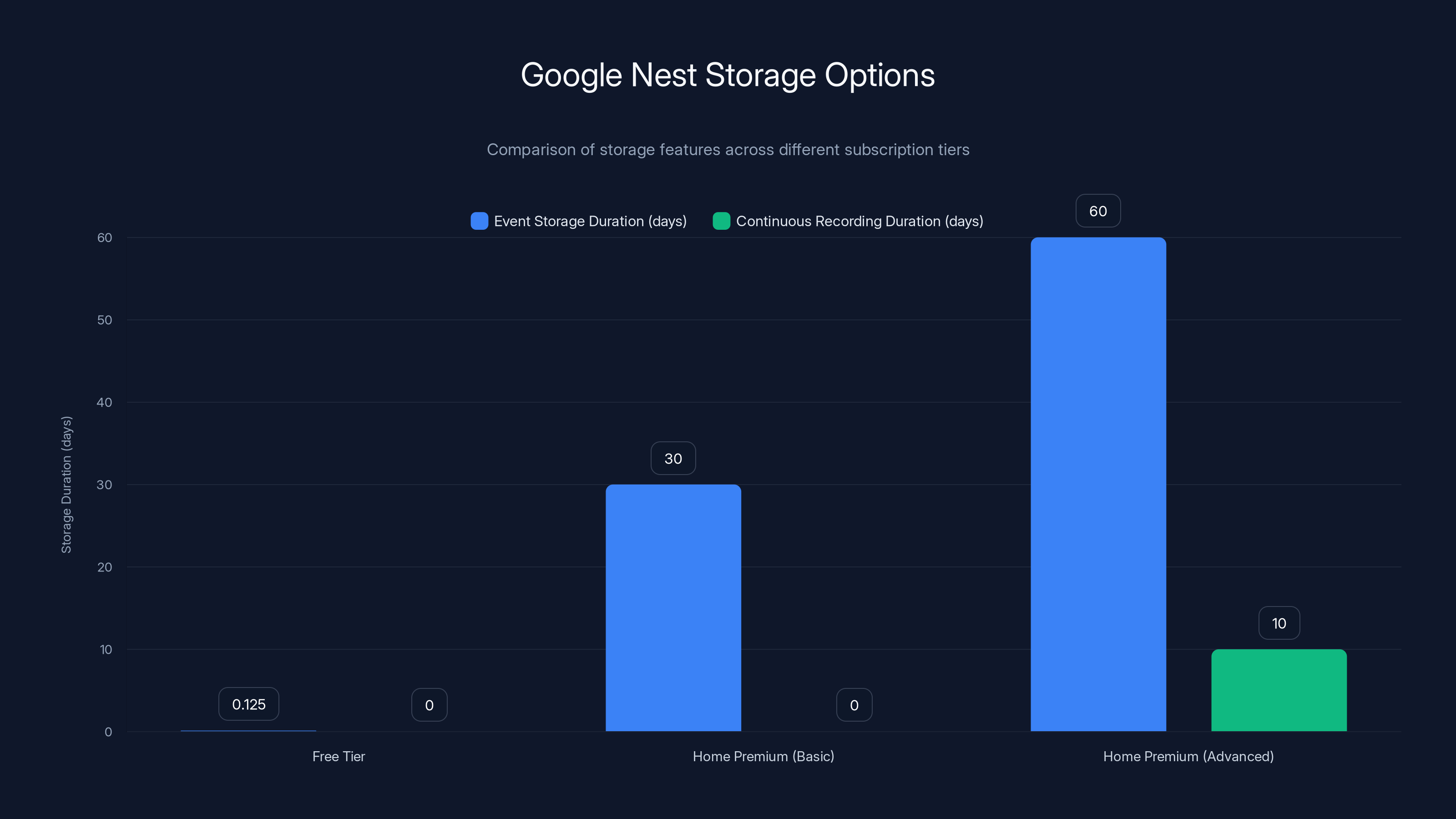 Google Nest Storage Options
