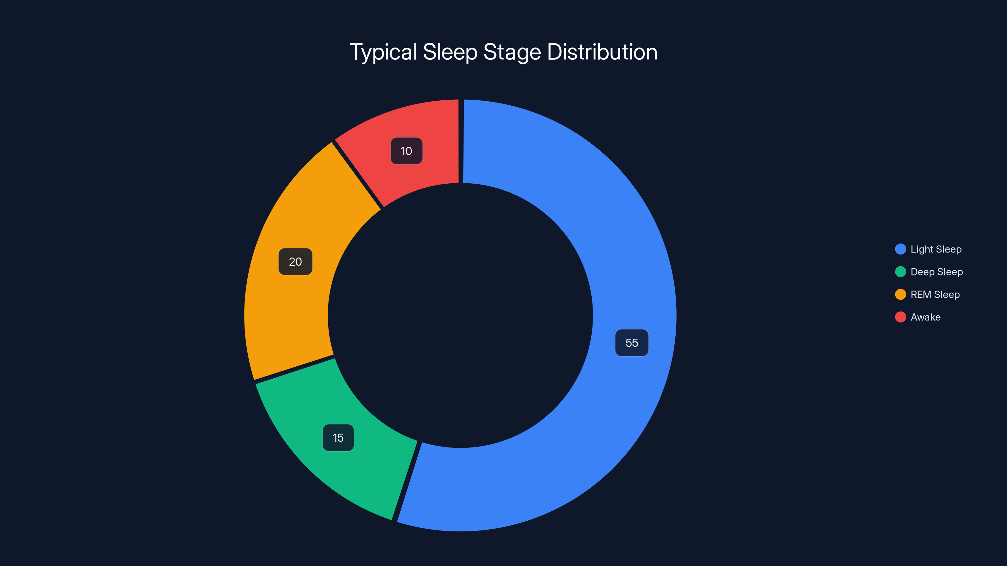 Typical Sleep Stage Distribution