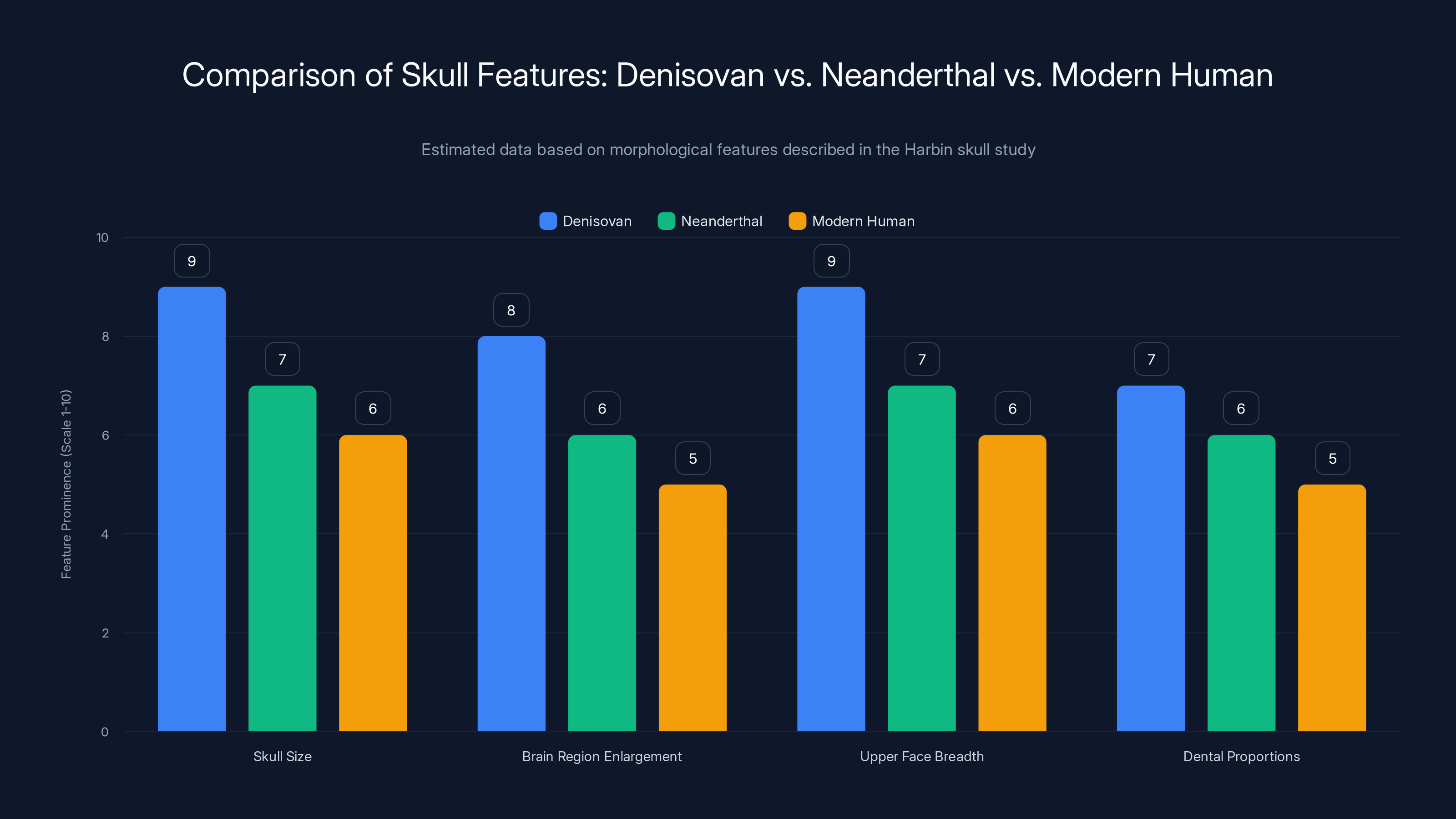 Comparison of Skull Features: Denisovan vs. Neanderthal vs. Modern Human