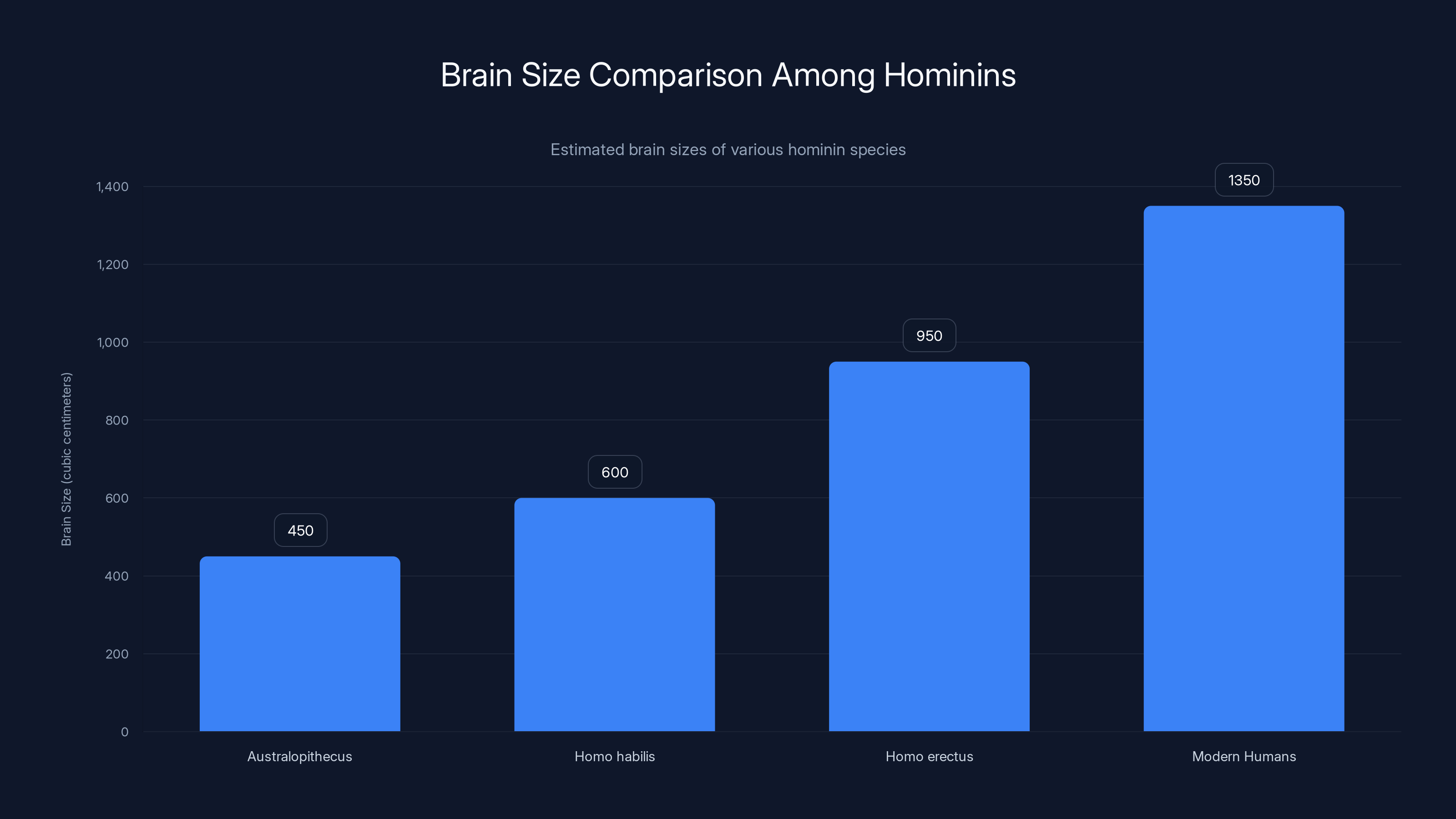 Brain Size Comparison Among Hominins