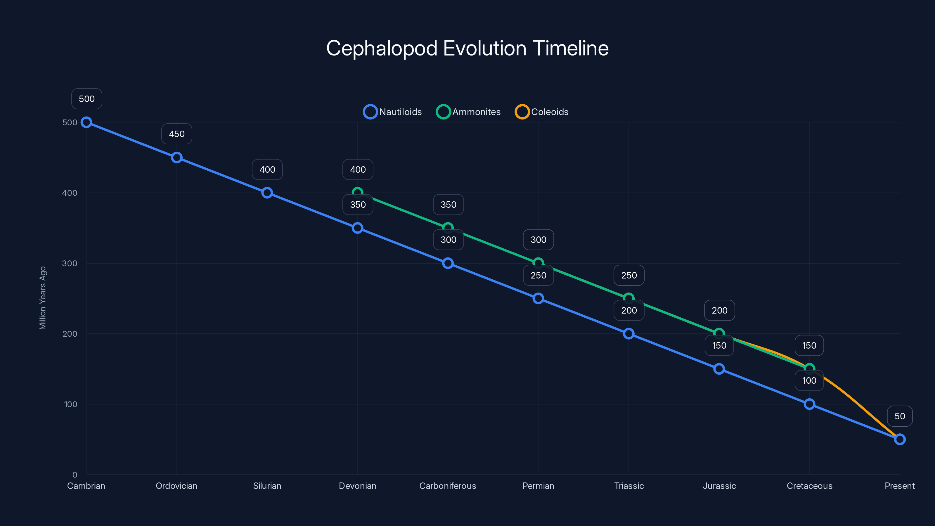Cephalopod Evolution Timeline