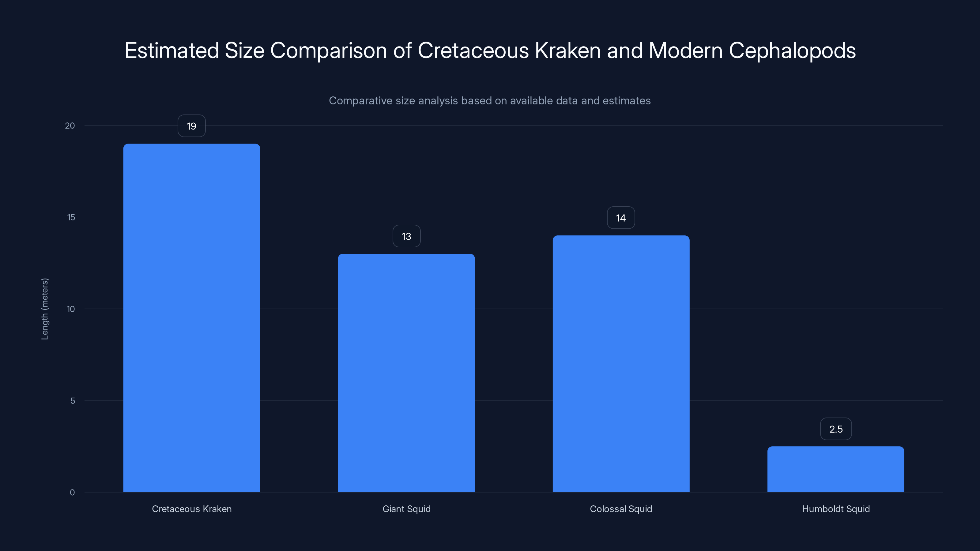 Estimated Size Comparison of Cretaceous Kraken and Modern Cephalopods
