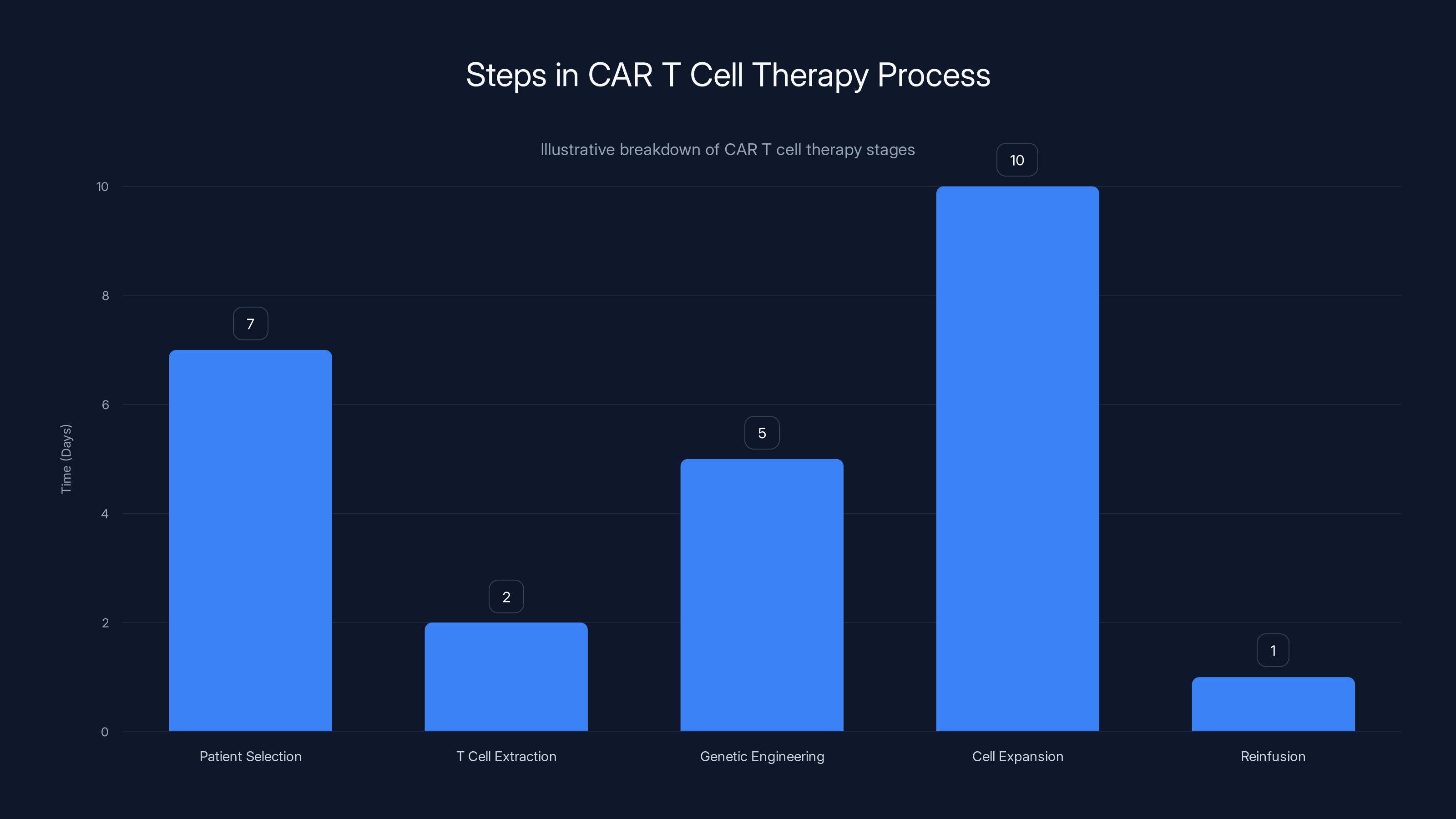 Steps in CAR T Cell Therapy Process