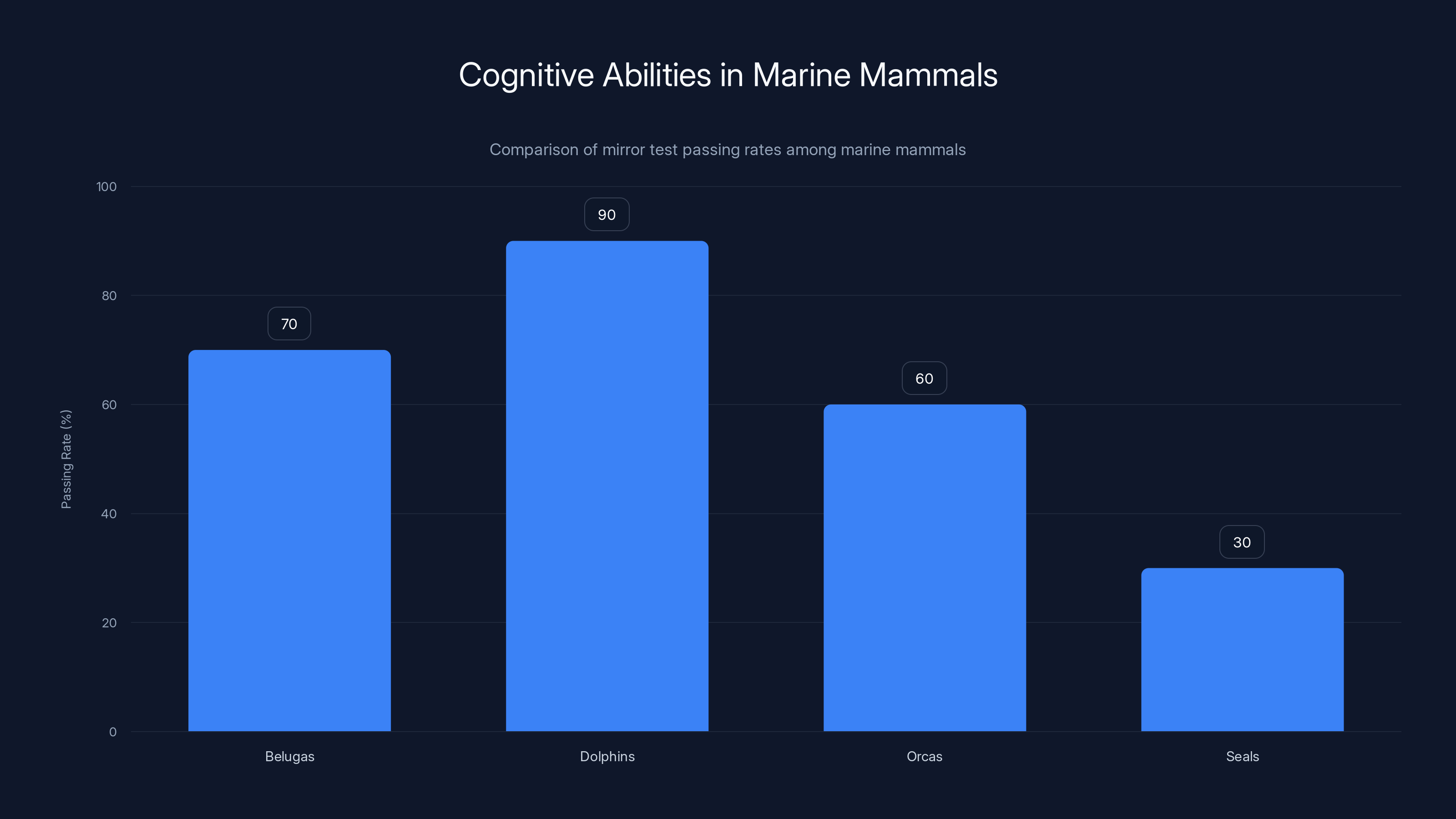 Cognitive Abilities in Marine Mammals