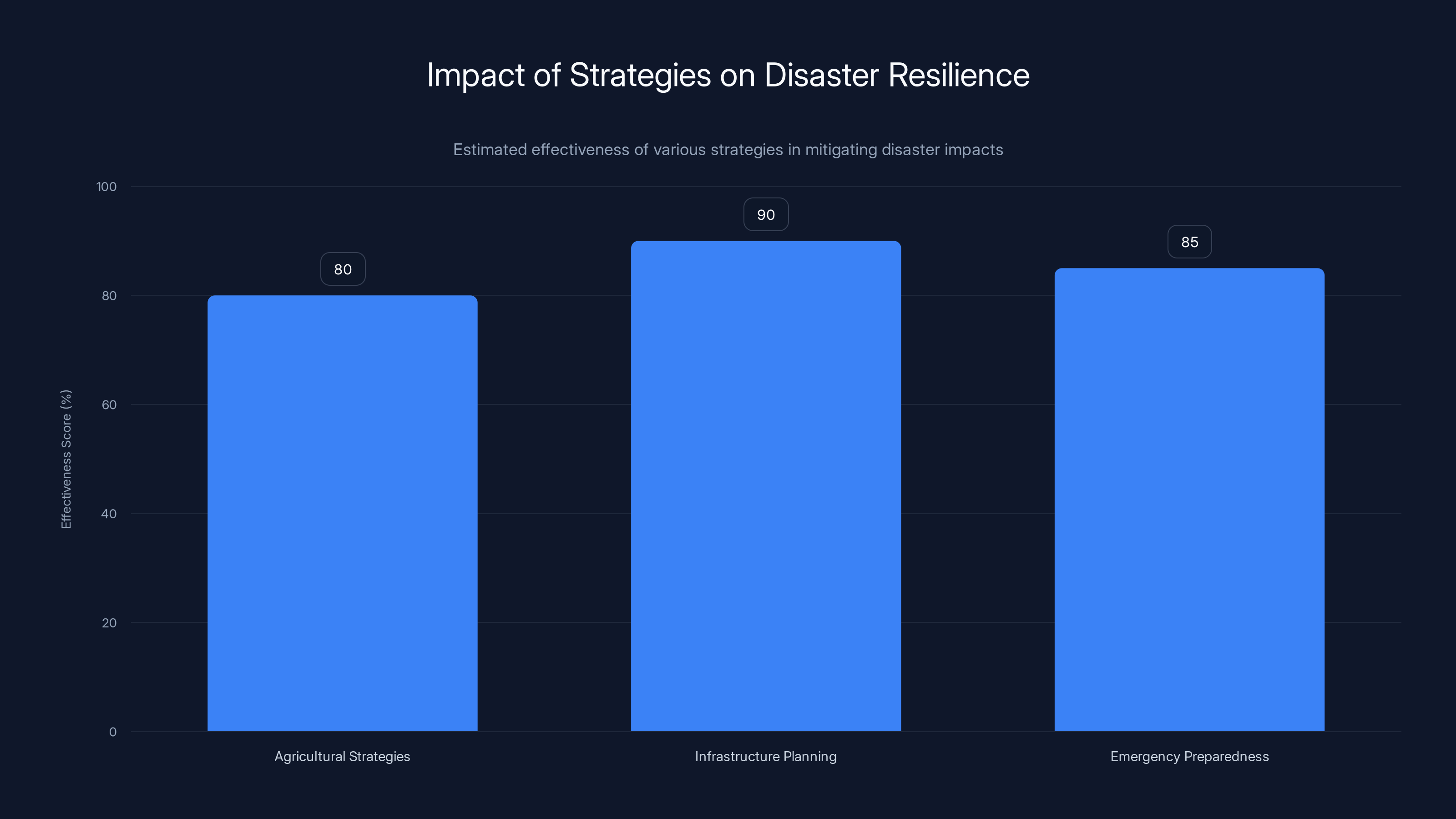 Impact of Strategies on Disaster Resilience