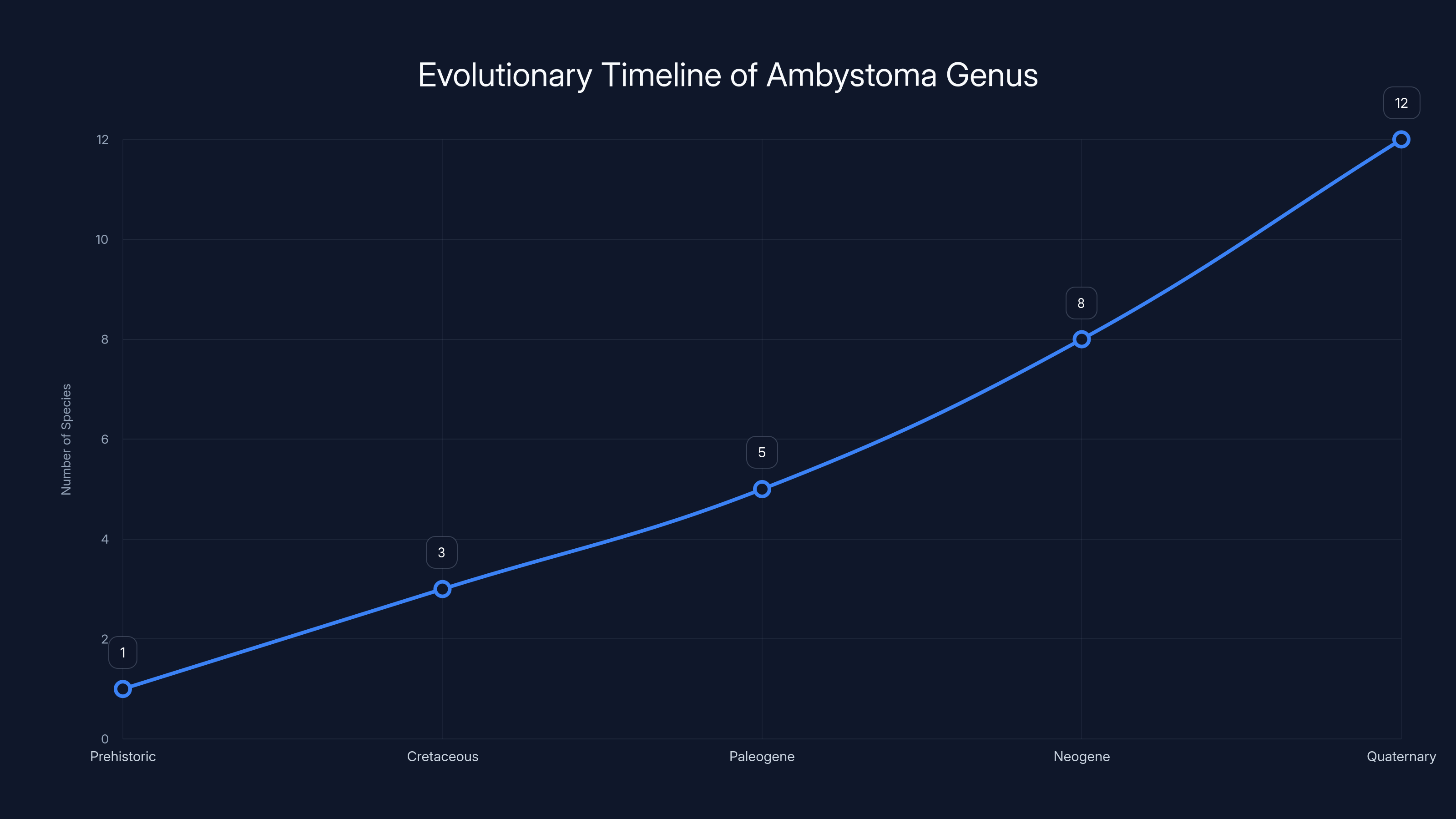 Evolutionary Timeline of Ambystoma Genus