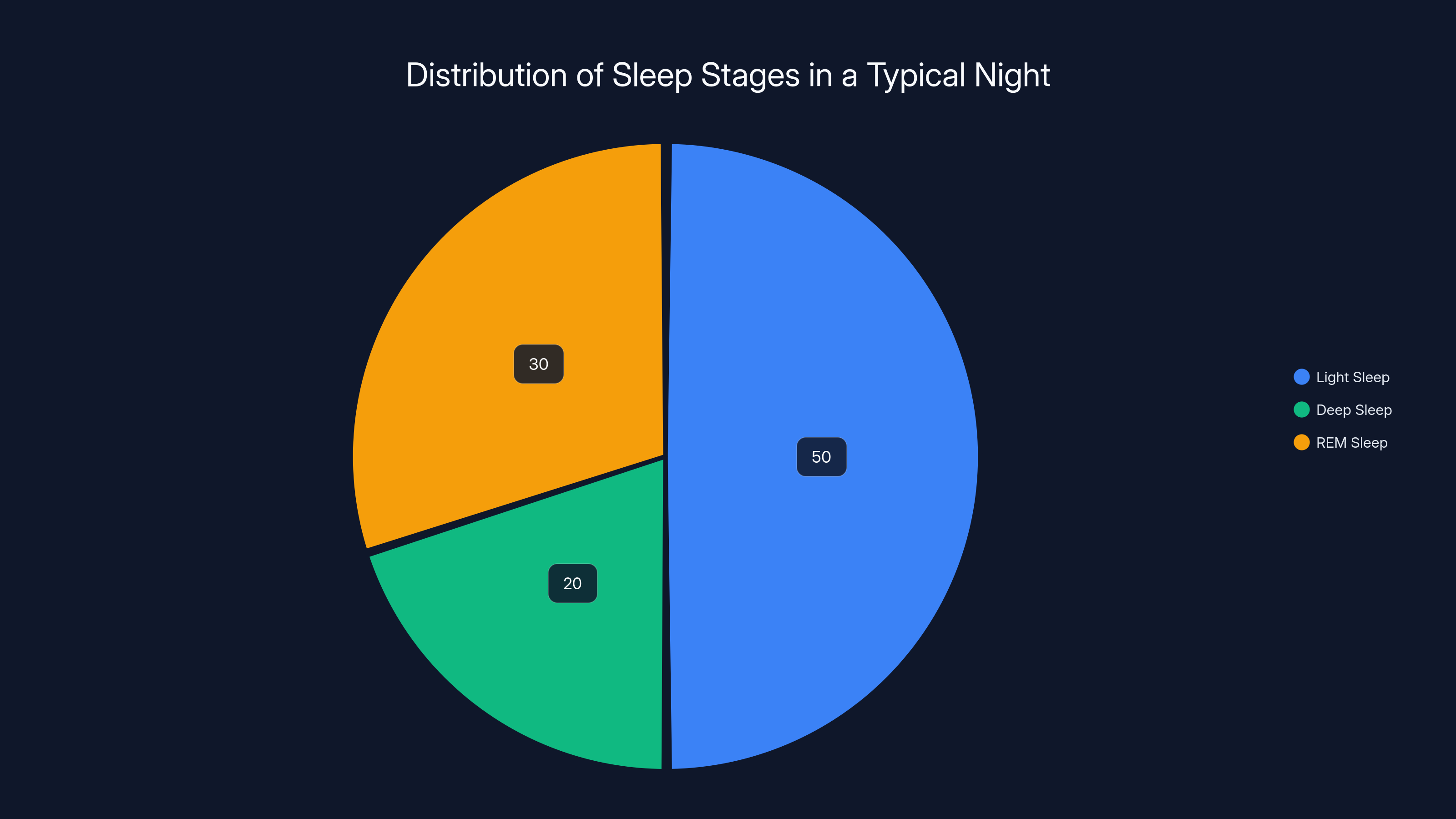 Distribution of Sleep Stages in a Typical Night
