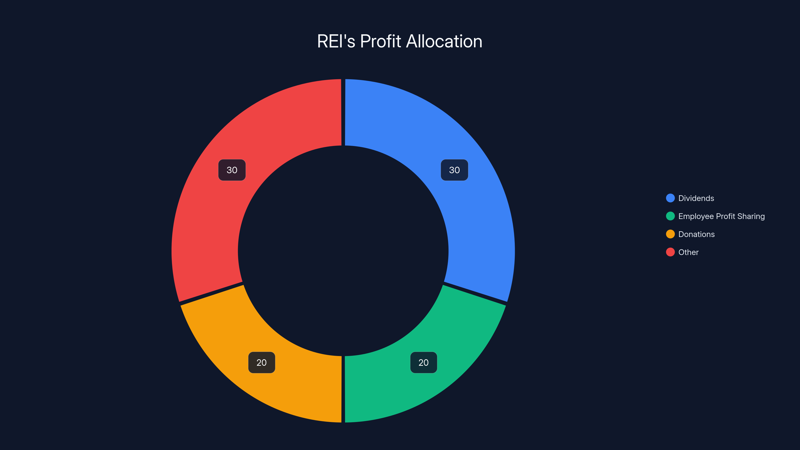 REI's Profit Allocation